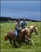 Big island Horseback Adventure