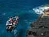  Snorkeling on the Big Island