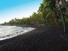  Big Island Bus Tours