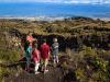  Big Island Tours