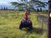 Big Island ATV Experience Tour